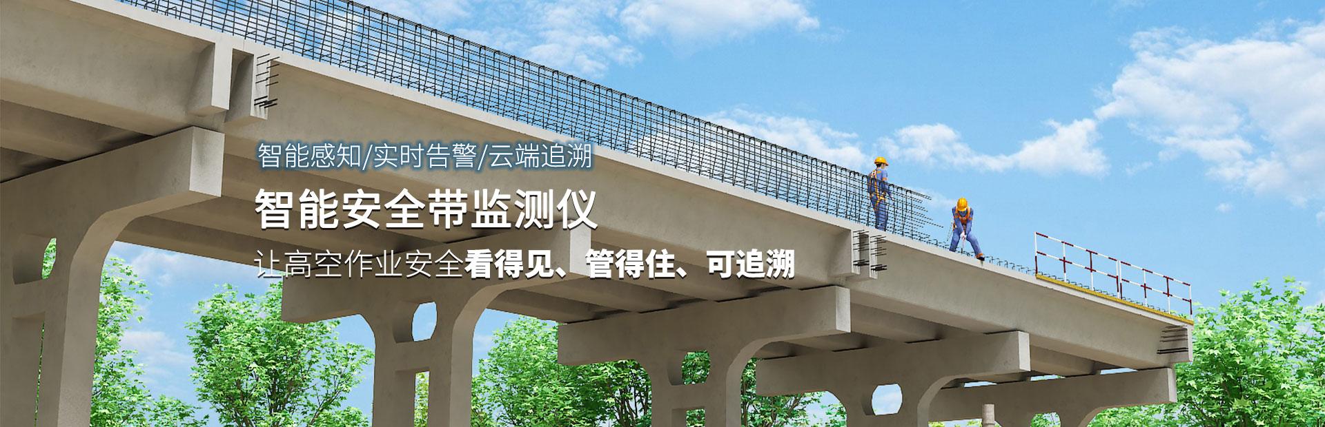 智能安全带监测仪